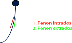 Apprendre à barrer avec les penons 11
